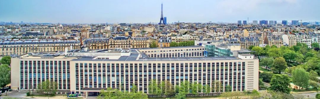 PSL·巴黎九大高级工商管理博士项目
