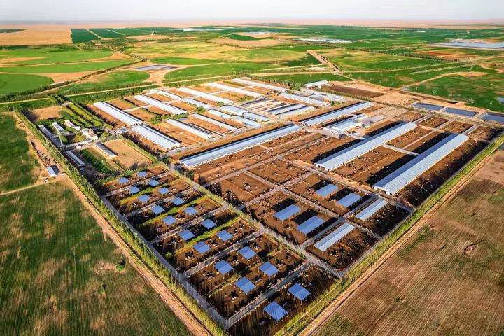从沙漠牧场到DBA课堂：圣牧集团CFO牛月生的数智化实践与价值升维